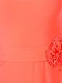 Small 18a6311c 681a 11e5 aa39 6cf049b91f32